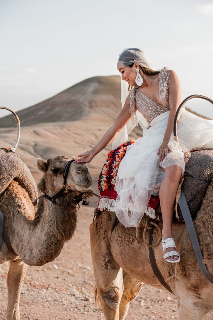 Bride sits atop camel for bridal fashion portrait during Morocco destination wedding