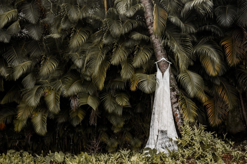 Wedding dress hangs from tree in Na 'Aina Kai botanical gardens