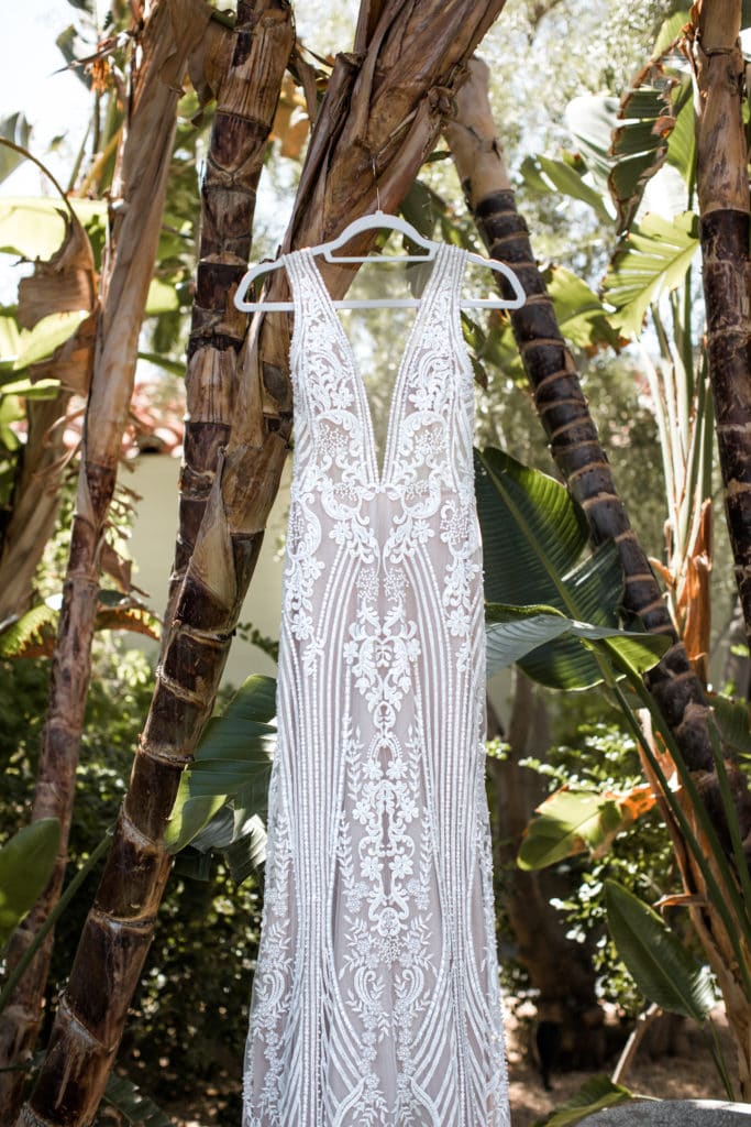 Bridal gown hanging from palm tree