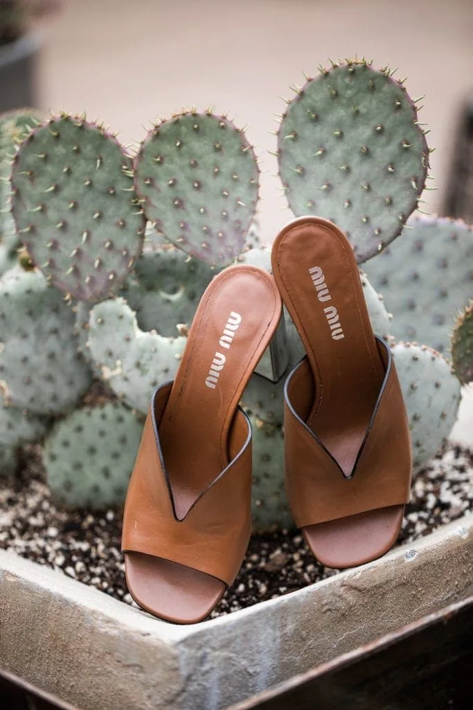 Miu Miu mule sandals next to cactus
