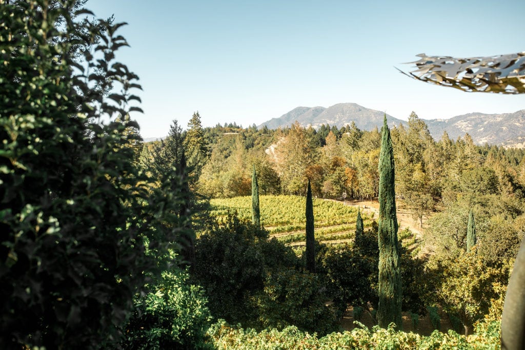 Mountains and rolling hills with vineyards paint a backdrop for a northern California vineyard estate wedding. 