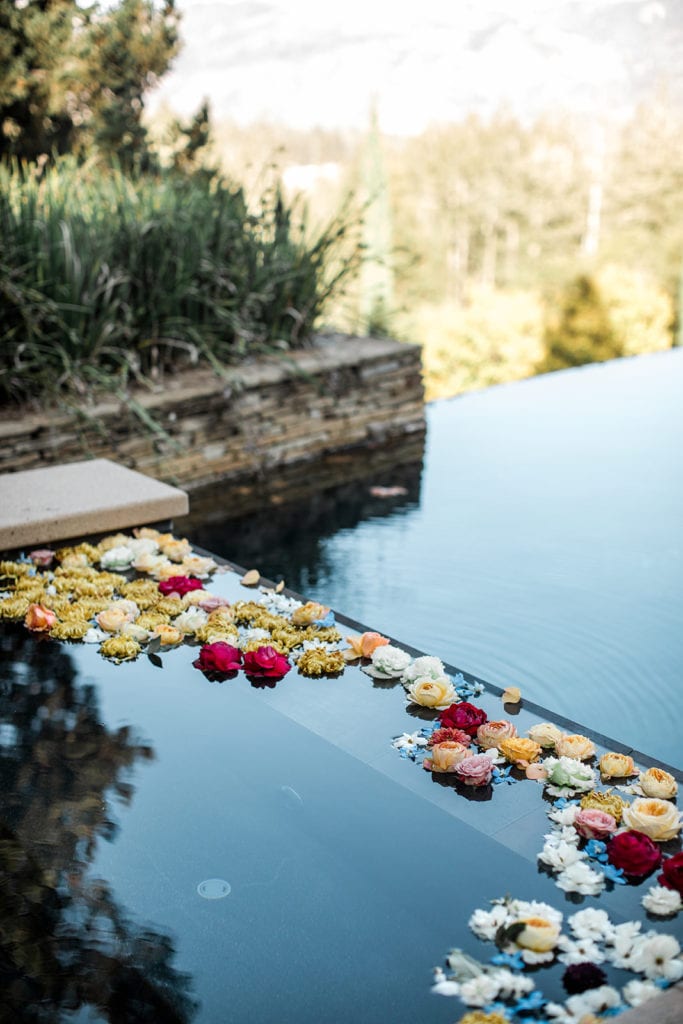 Individual flowers are intentionally placed in the water feature at Calistoga Vineyard Estate.