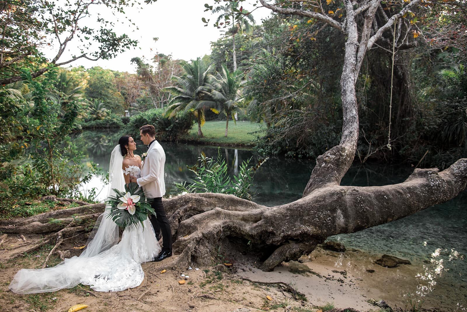 Bride and groom embrace next to a large tree in the rainforest in Jamaica