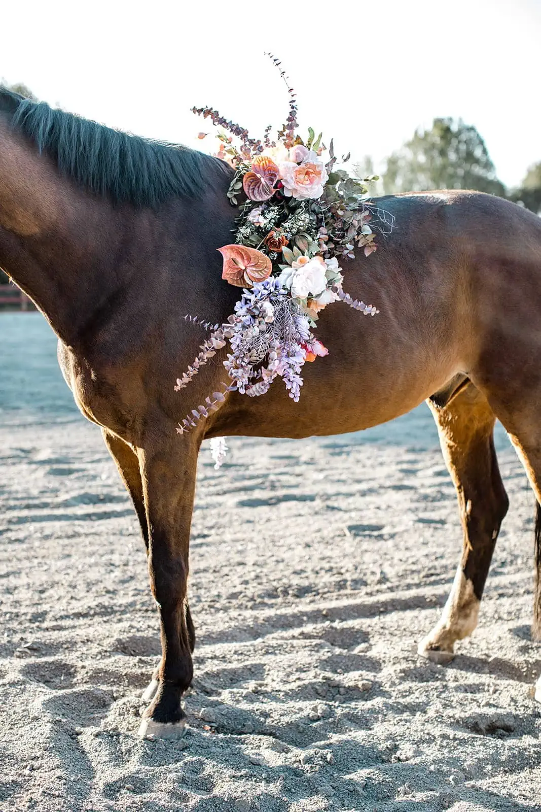 Horse wears flower arrangement