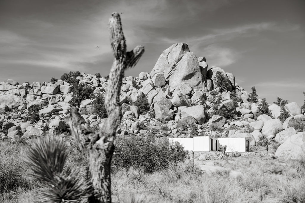 AirBnB nestled in Joshua Tree National Park