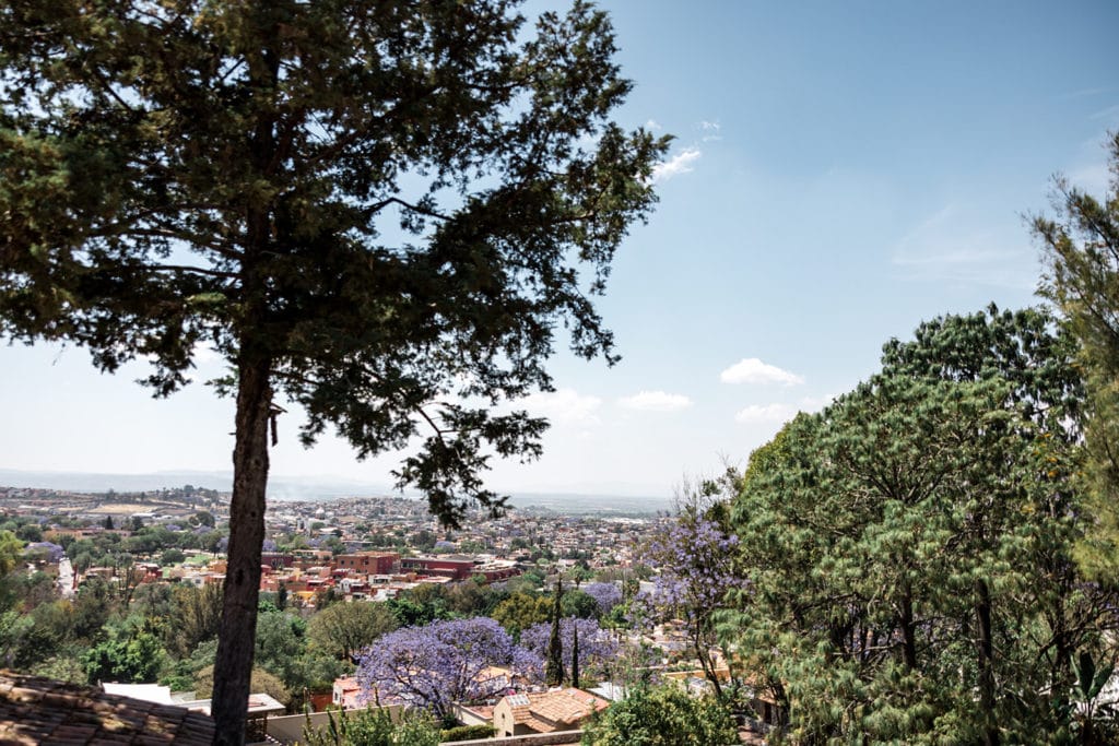 Overlooking San Miguel de Allende