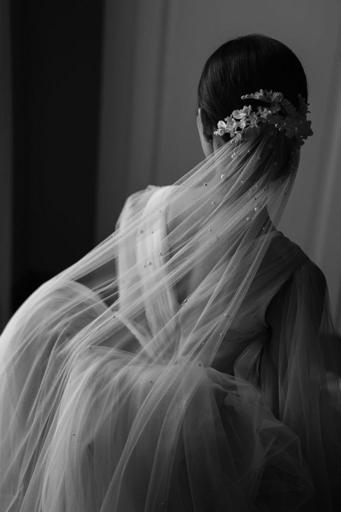 Bride's detailed veil