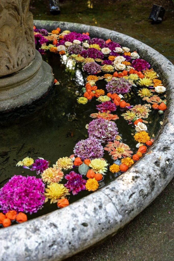 Bright flowers in water fountain