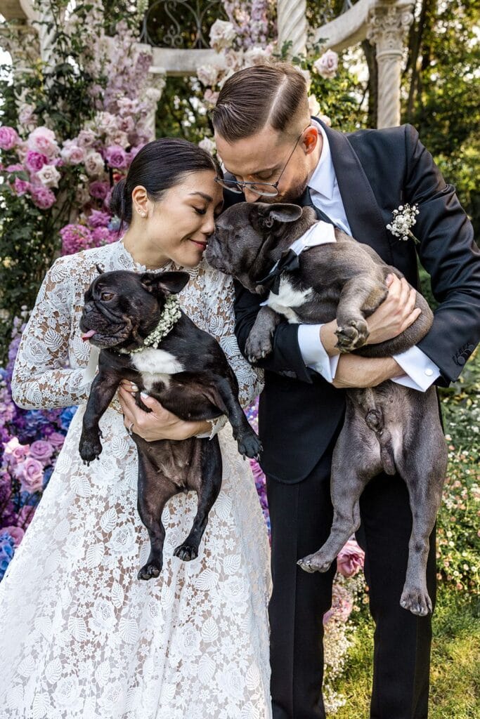 Bride and groom with their two French bulldogs