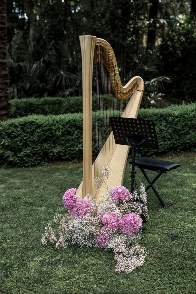 Harp with pink peony flower details