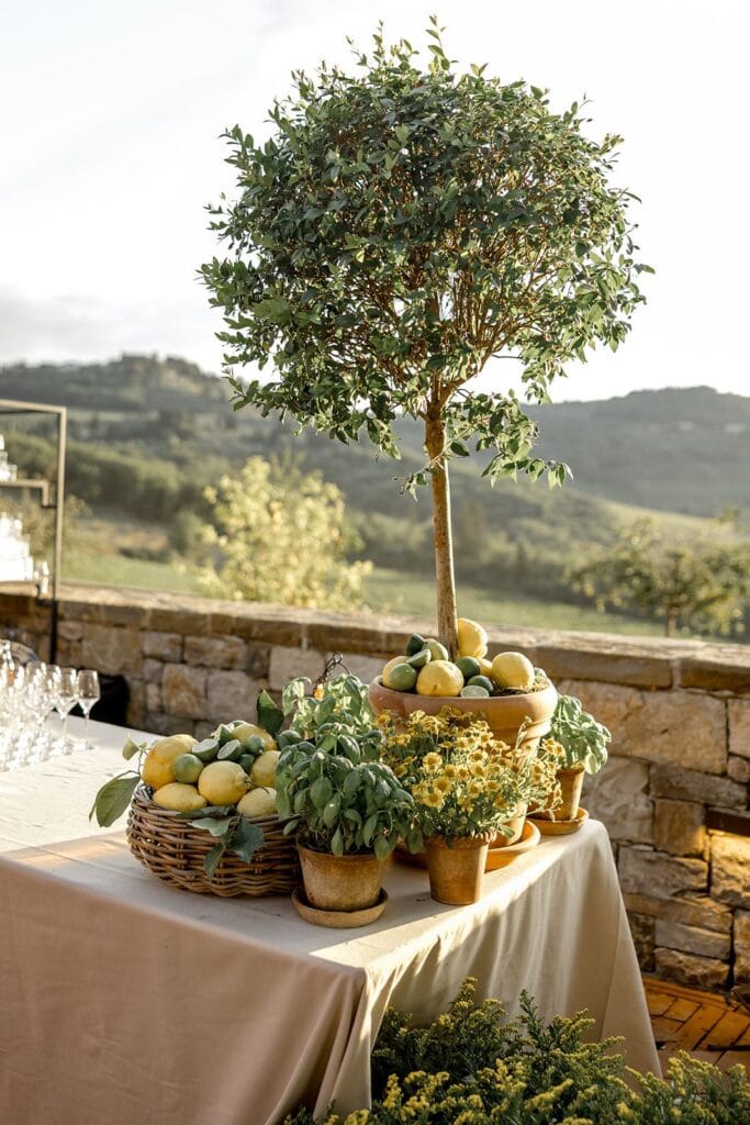 Tuscany vineyard wedding design and decor
